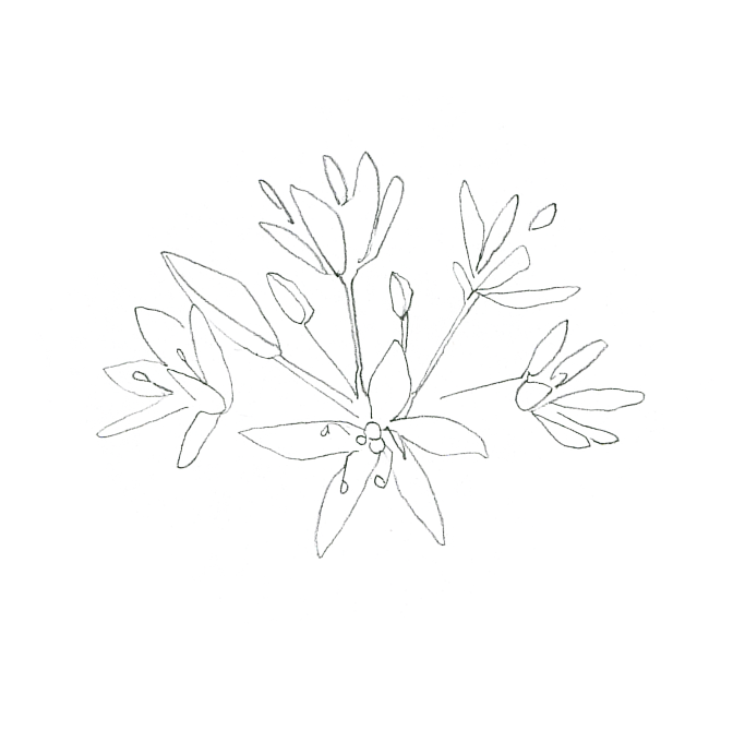 L'Atelier Maga - Café marqueterie à Chambéry